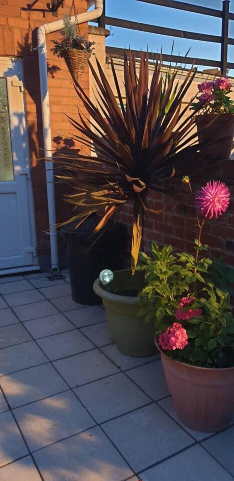 Cosy Corner - Town Centre Flat With Free Nearby Parking Apartment Shrewsbury Exterior photo